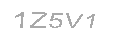Güvenlik Kodu