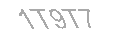 Güvenlik Kodu