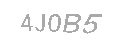 Güvenlik Kodu