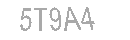 Güvenlik Kodu