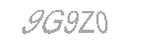 Güvenlik Kodu