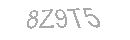 Güvenlik Kodu