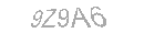 Güvenlik Kodu