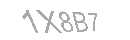 Güvenlik Kodu