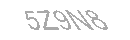 Güvenlik Kodu