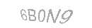 Güvenlik Kodu