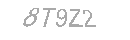Güvenlik Kodu
