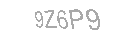 Güvenlik Kodu