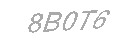 Güvenlik Kodu