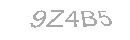 Güvenlik Kodu