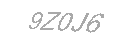 Güvenlik Kodu
