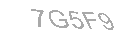 Güvenlik Kodu