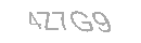 Güvenlik Kodu