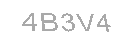 Güvenlik Kodu