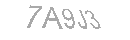 Güvenlik Kodu