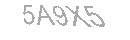 Güvenlik Kodu