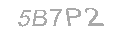 Güvenlik Kodu
