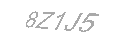 Güvenlik Kodu