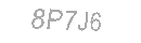 Güvenlik Kodu