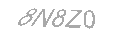 Güvenlik Kodu