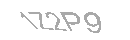 Güvenlik Kodu