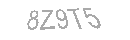Güvenlik Kodu