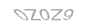 Güvenlik Kodu