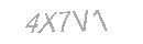 Güvenlik Kodu