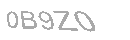 Güvenlik Kodu
