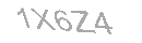 Güvenlik Kodu