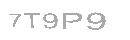 Güvenlik Kodu