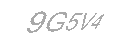 Güvenlik Kodu