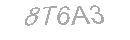 Güvenlik Kodu