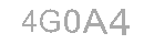 Güvenlik Kodu