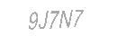 Güvenlik Kodu