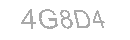 Güvenlik Kodu