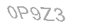 Güvenlik Kodu