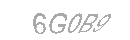 Güvenlik Kodu