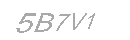 Güvenlik Kodu