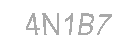 Güvenlik Kodu