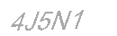Güvenlik Kodu