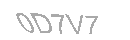 Güvenlik Kodu
