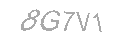 Güvenlik Kodu