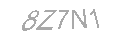 Güvenlik Kodu