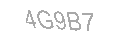 Güvenlik Kodu