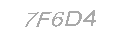 Güvenlik Kodu