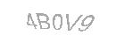 Güvenlik Kodu