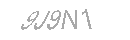 Güvenlik Kodu