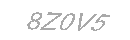 Güvenlik Kodu