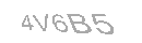 Güvenlik Kodu